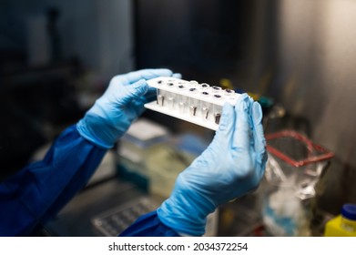 mixer in the laboratory pcr tests