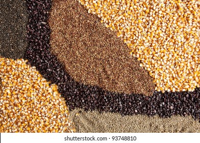 10,842 Corn And Soybean Images, Stock Photos & Vectors | Shutterstock