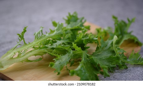 Mizuna Lettuce or  water greens, is Japanese mustard greens or spider mustard for salad. - Shutterstock ID 2109078182