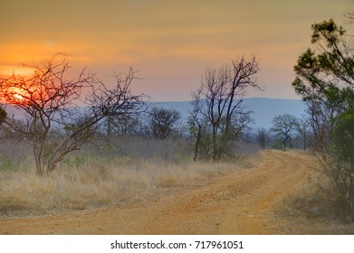 MKUZE SUNSET. Sun sets over Sand Thorn Forest in Zululand, Kwazulu Natal, South Africa  - Shutterstock ID 717961051