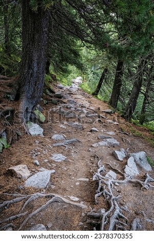 Mlynicka valley, High Tatras mountain, Slovak republic. Hiking theme. Seasonal natural scene. Stock photo © 