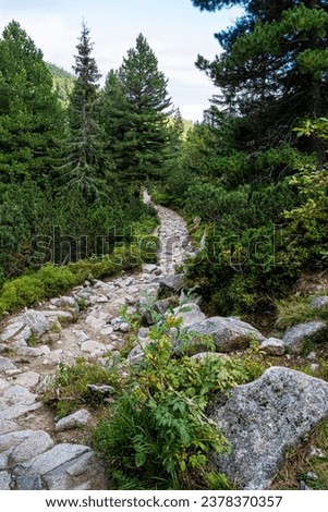 Mlynicka valley, High Tatras mountain, Slovak republic. Hiking theme. Seasonal natural scene. Stock photo © 