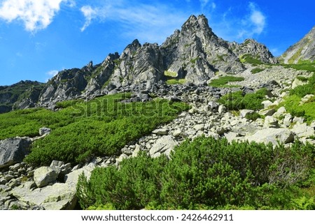 Mlynicka Valley In Vysoke Tatry (Tatra Mountains), Slovakia. Stock photo © 