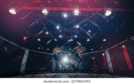 MMA Boxers fighters in fights without rules in ring octagon, motion blur, dark background.