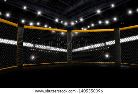 MMA fight cage arena. Octagon – Image