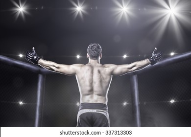 Mma fighter in cage after victory, behind view