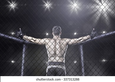 Mma fighter in cage celebrating win, view from behind