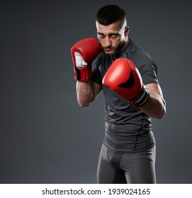 MMA Fighter Training, Studio Shot Isolated On Gray Background