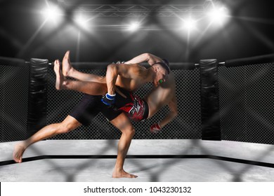 MMA fighters on ring