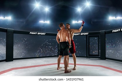 Mma Fighters On Ring Fighting Championship Stock Photo (Edit Now ...