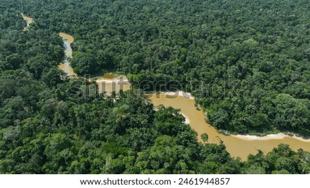 Moa River cutting through the forest of Serra do Divisor National Park