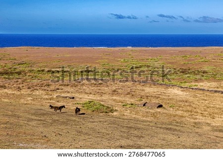 The Moai statues on Easter Island in the Pacific Ocean
