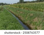 Moat with large corn field