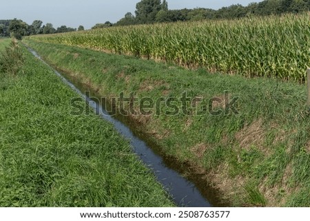Moat with large corn field