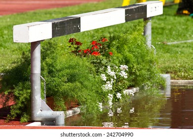 The moat, obstacle