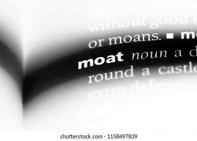 Moat Word In A Dictionary. Moat Concept.