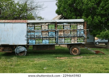 mobile cart bee apiary with small multi-colored wooden beehive boxes.