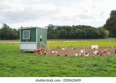 Mobile Chicken Coop For Free Range Farming