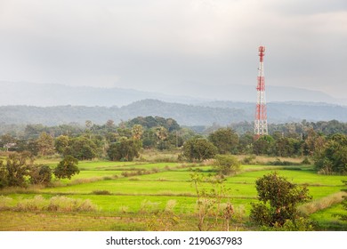 Mobile Communication Tower In Natural