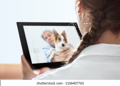 Mobile Diagnostic For An Veterinarian With Telecommunication Or Telehealth, Elderly Woman And Dog At Home