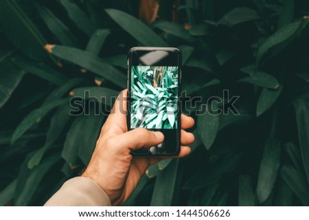 Mobile photography concept. Photography in nature (tropical plants). Hand holding a smartphone for photography leaves and wild life.