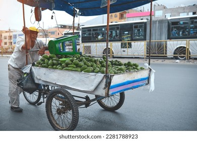 Mobile street vendor selling avocado, aguacate, palta. A Avocado cart sits on the side of the road
