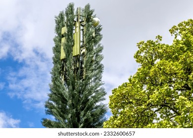 Mobile telecommunication cell tower disguised as a tree, camouflaged gsm antenna.