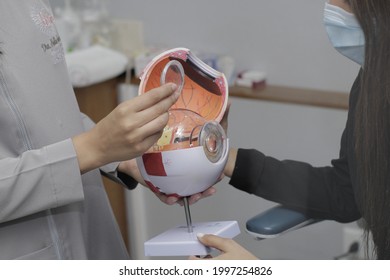 Moca, Dominican Republic - June 20, 2021 - Young Doctor Teaches Patient How The Human Eye Works With A Scale Model Of A Human Eye