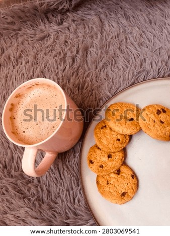 Mocha and choc chip biscuits 