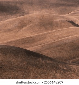 Mocha Mousse, Pantone 2025. monochrome natural landscape with hills at sunrise or sunset in off-season. mountain background - Powered by Shutterstock