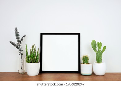 Mock up black square frame with potted plants and branch decor. Wooden shelf against a white wall. Copy space. - Shutterstock ID 1706820247