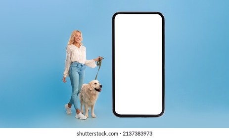 Mock Up Template. Excited Woman Walking Her Happy Dog On A Leash, Posing Looking At Big Giant Cell Phone With White Screen, Isolated On Blue Studio Background Wall, Full Body Length Portrait Banner