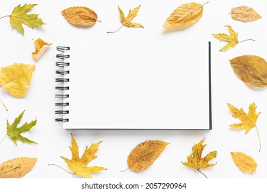 Mock up. Open sketchpad or notebook on artist desk workspace, yellow autumn leaves on white background. Creative concept, empty page. Top view, copy space
