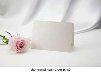 Mockup Blank Card, For Name Place, Folded, Greeting, Invitation With Pink Rose On White Background. 