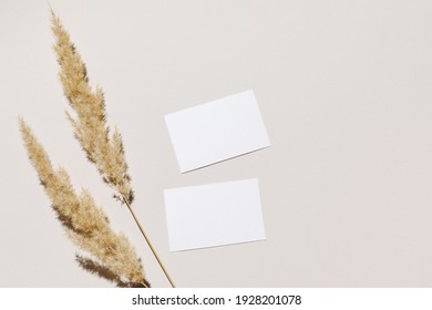 Mockup With Blank Paper Business Card And Dried Pampas Grass Over Beige Pastel Background With Trendy Shadow And Sunlight. Minimal Business Brand Template. Flat Lay, Top View