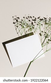 Mockup With Blank Paper Sheet Card And White Small Flowers Over Beige Pastel Background With Trendy Shadow And Sunlight. Minimal Business Brand Template. Flat Lay, Top View