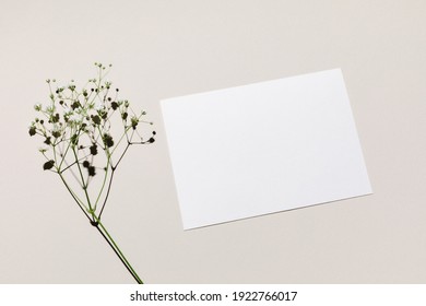 Mockup With Blank Paper Sheet Card And White Small Flowers Over Beige Pastel Background With Trendy Shadow And Sunlight. Minimal Business Brand Template. Flat Lay, Top View