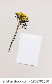 Mockup With Blank Paper Sheet Card And Dried Yellow Flower Over Beige Pastel Background With Trendy Shadow And Sunlight. Minimal Business Brand Template. Flat Lay, Top View