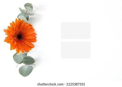 Mockup Business Card With Eucalyptus And Gerbera Leaves On The White Background