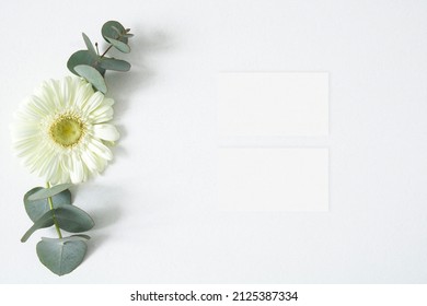 Mockup Business Card With Eucalyptus And Gerbera Leaves On The White Background