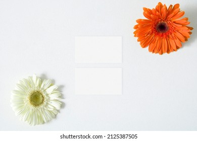 Mockup Business Card With Gerbera Leaves On The White Background
