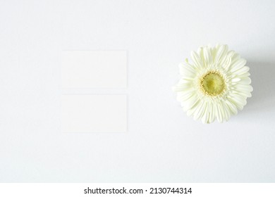 Mockup Business Card With Gerbera Leaves On The White Background