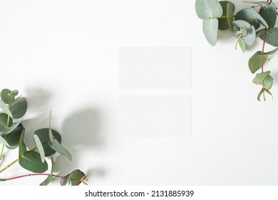 Mockup Business Card With Gerbera Leaves On The White Background