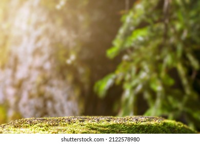mockup copy space background green coniferous forest and a stone pedestal made of moss. the real natural background of the Siberian taiga for natural products is blur - Shutterstock ID 2122578980