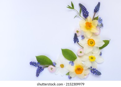 mockup of flowers in the form of a crescent. Composition of yellow daffodils, green leaves, lilac muscari and pink daisies on a white background. Top view and copy space. Festive flower concept 