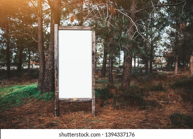 A Mockup Of An Information Poster In A Deep Forest; Blank Advert Billboard Placeholder In The Wood; A White Empty Template Of An Outdoor Info Banner In A Rural Area Surrounded By Coniferous Trees