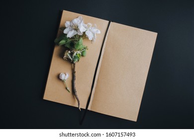 Mockup. Notebook With A Sprig Of A Blossoming Apple Tree. The Concept Of Creativity, Ideas, Floristry And Writing. Black Background, Vintage Paper, Mock Up.