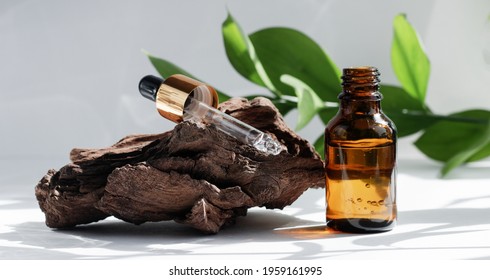 Mockup of an open glass dropper bottle near driftwood on a white gray background with leaves. Hard shadows. Cosmetic pipette on a white background.