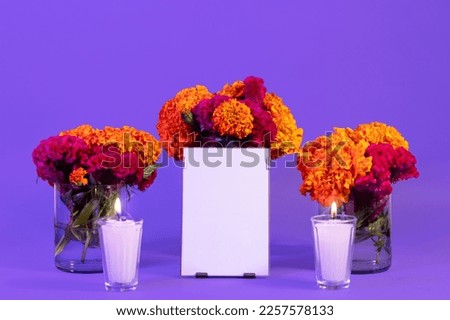 Mockup with picture frames in an offering for the Day of the Dead with Cempasuchil flowers and candles on a purple background. Dia de Muertos. High quality photo