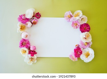 Mockup of rectangular cards decorated with plum blossoms on a yellow-green gradient background